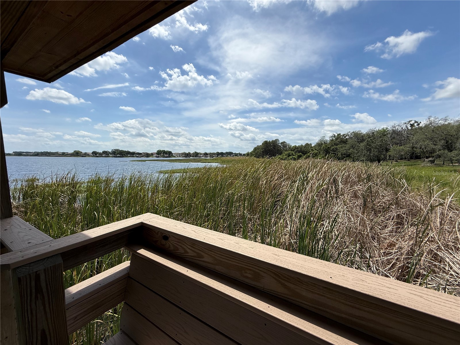 17090 Harbor Oak Parkway Winter Garden FL 34787 G5111718 image41