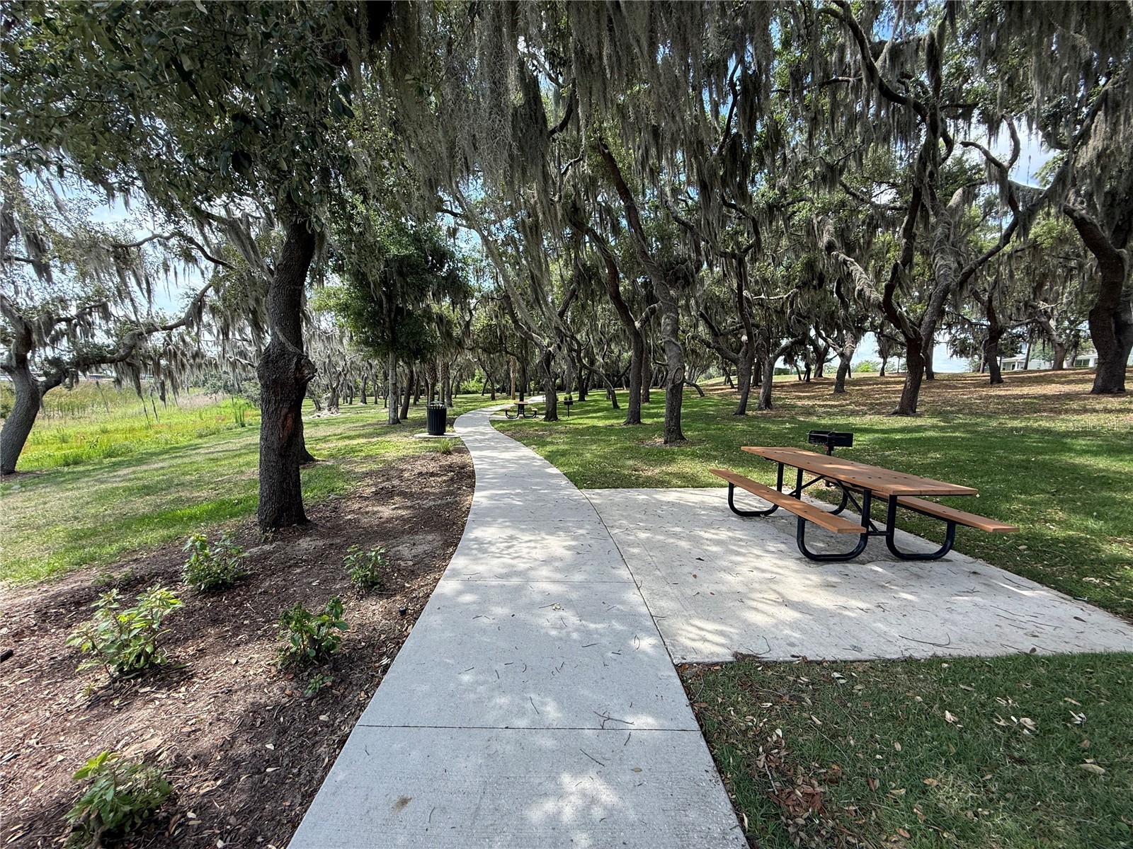 17090 Harbor Oak Parkway Winter Garden FL 34787 G5111718 image43
