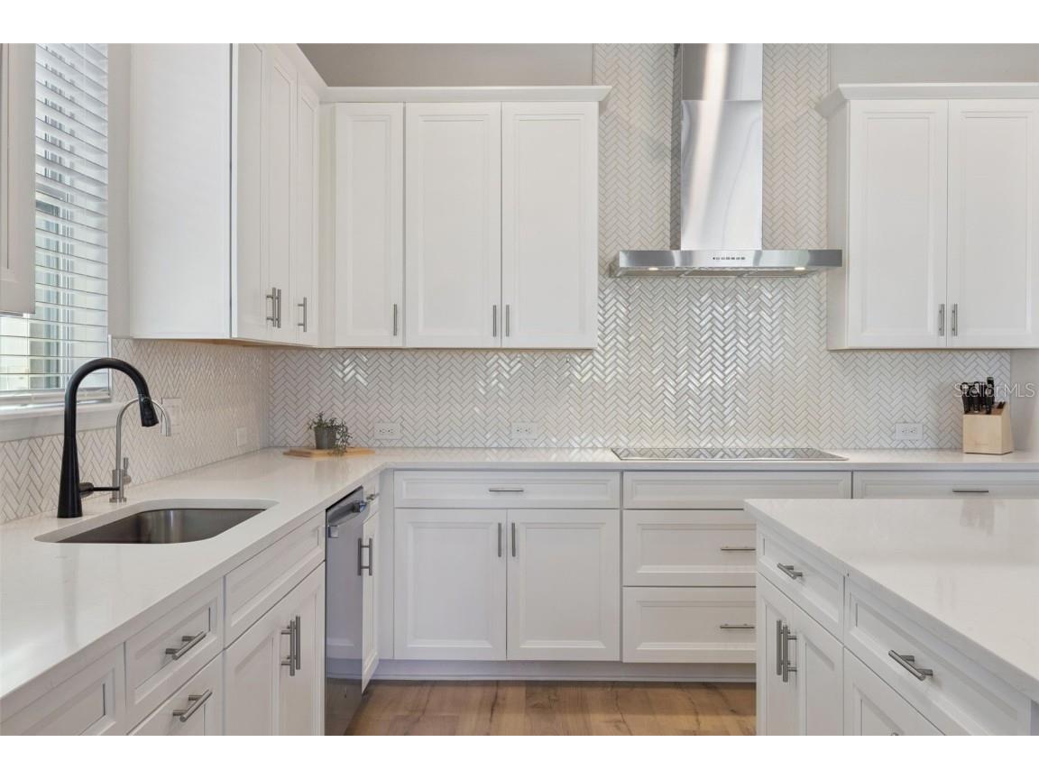 17096 Cercis Loop Clermont FL 34711 G5103458 image10