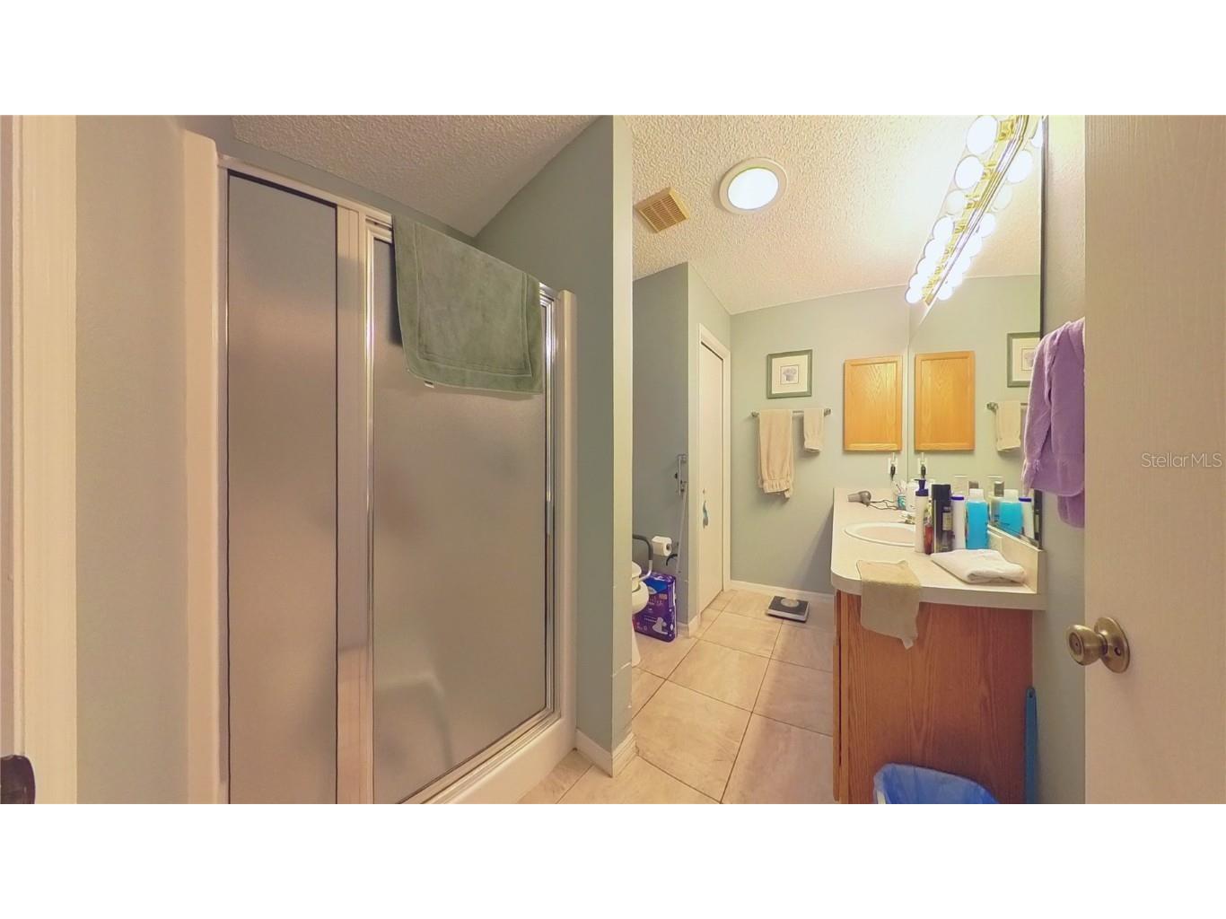 17096 SE 96th Chapelwood Circle The Villages FL 32162 OM692931 image17