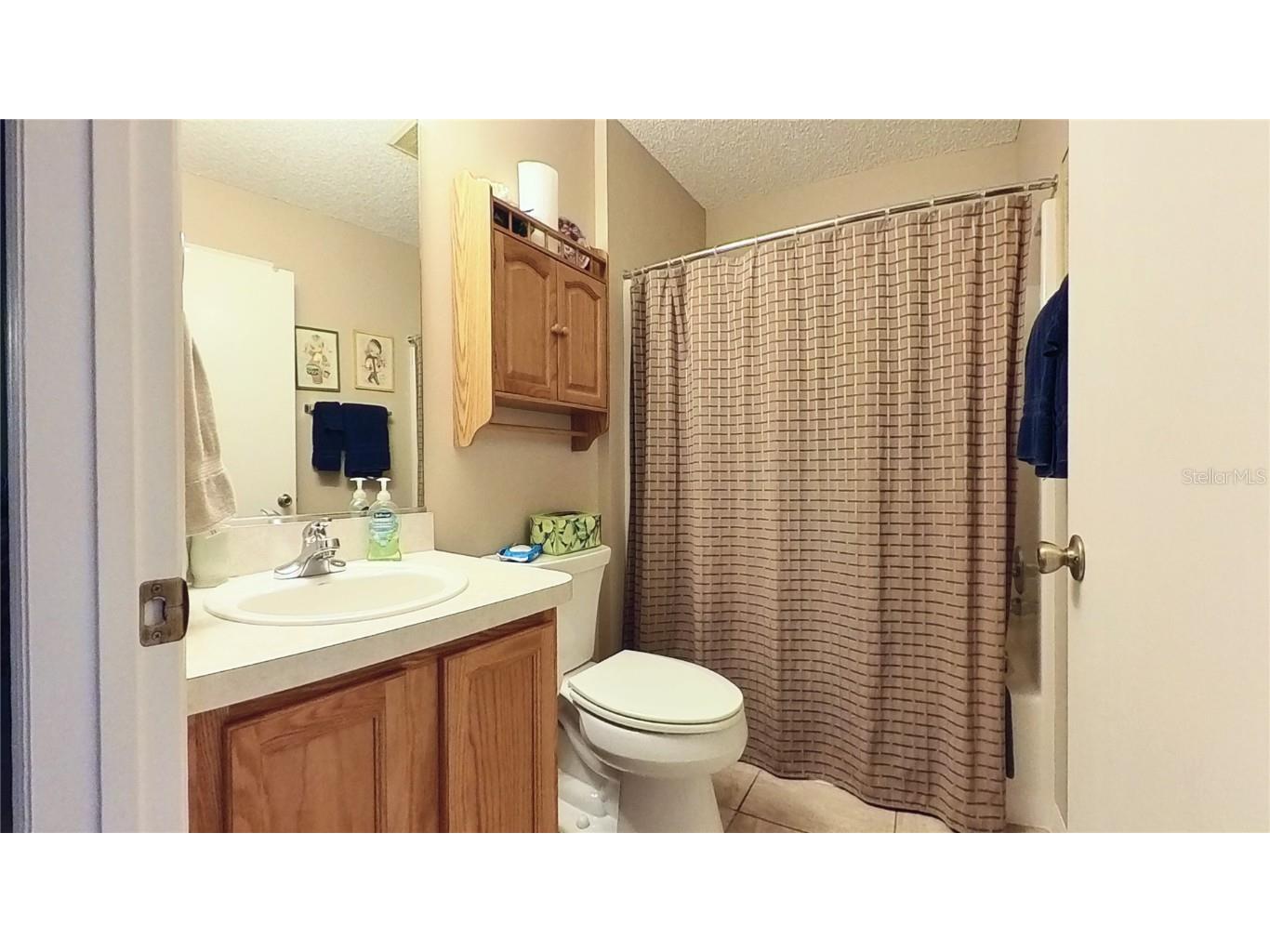 17096 SE 96th Chapelwood Circle The Villages FL 32162 OM692931 image22