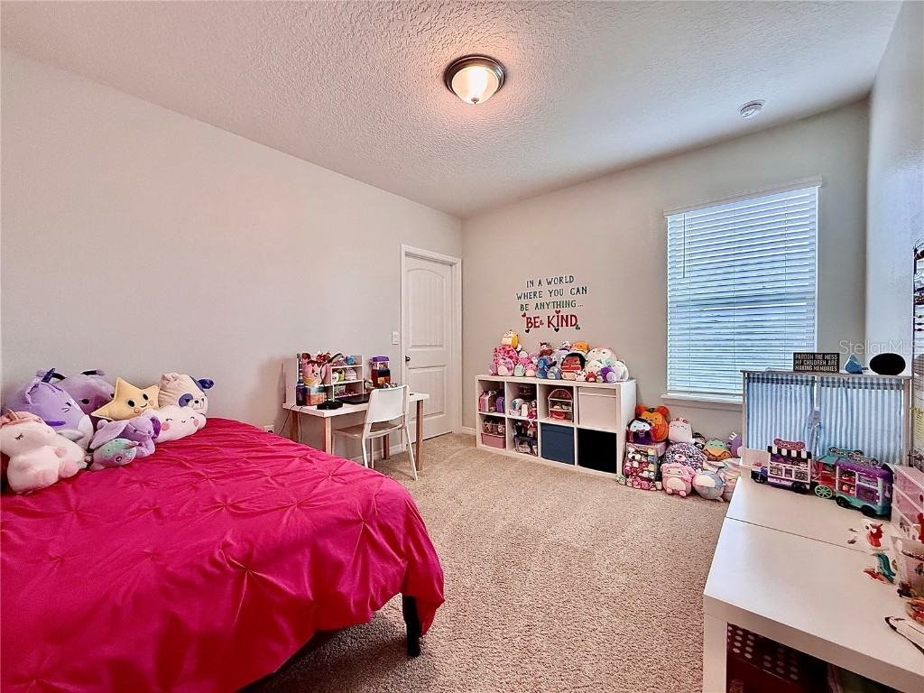 17098 Water Spring Boulevard Winter Garden FL 34787 O6357599 image23