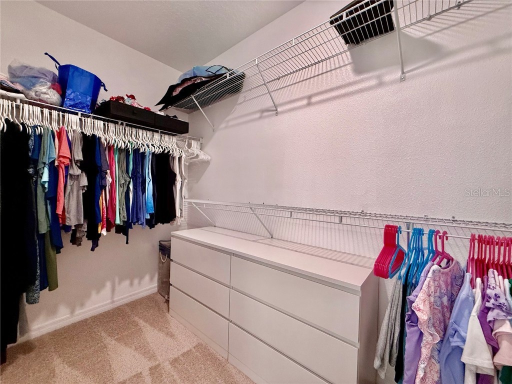 17098 Water Spring Boulevard Winter Garden FL 34787 O6357599 image28