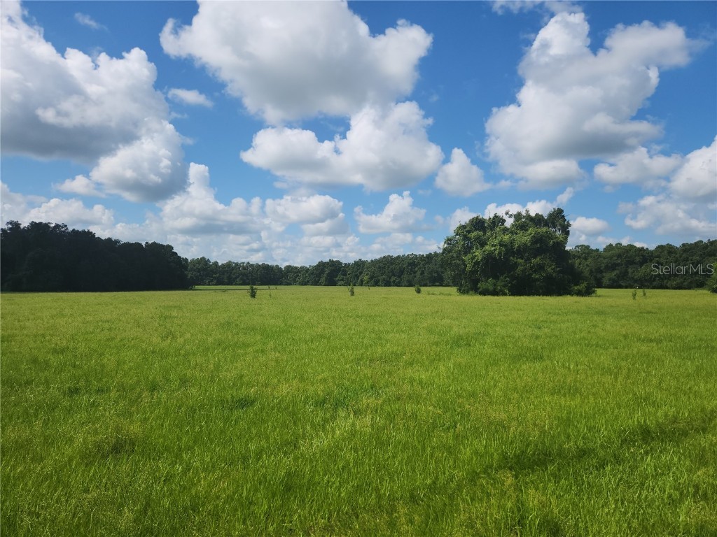 17099 NE 145th Street Williston FL 32696 GC515224 image1