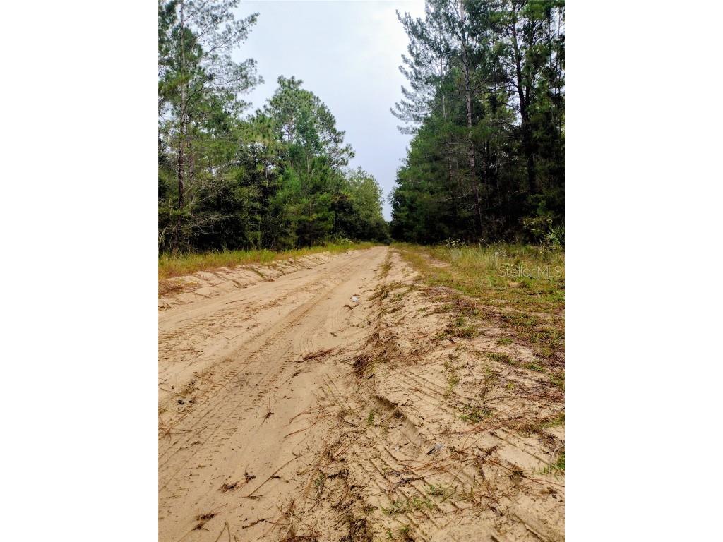 171 7th Way Interlachen FL 32148 S5135625 image1