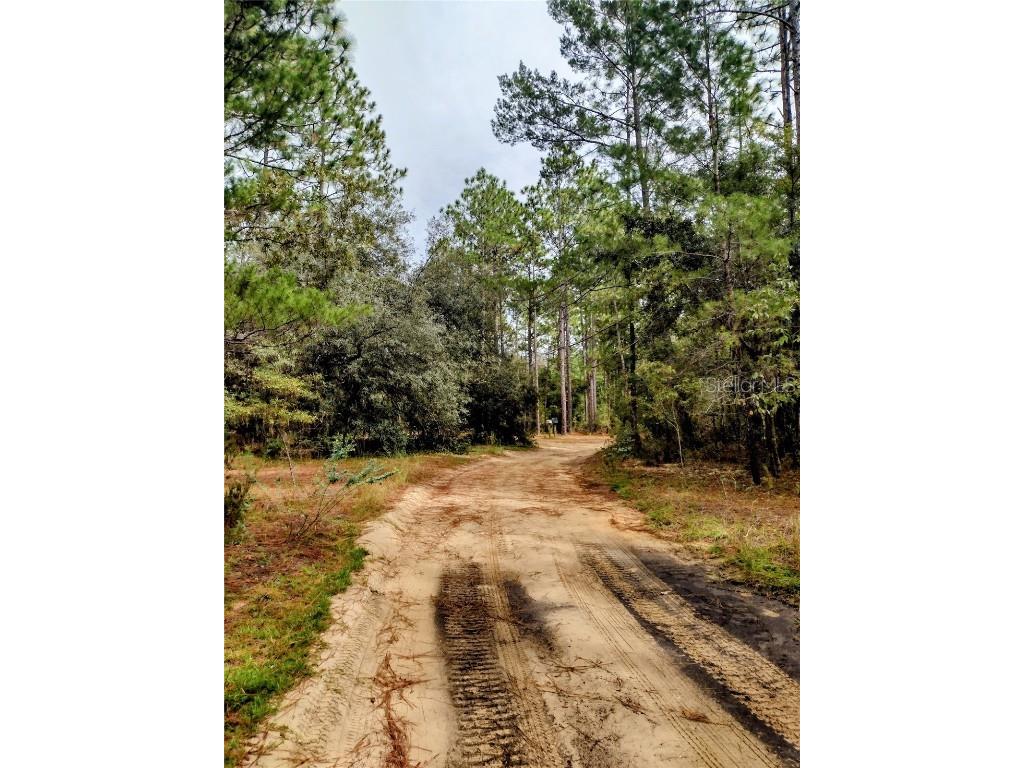 171 7th Way Interlachen FL 32148 S5135625 image2