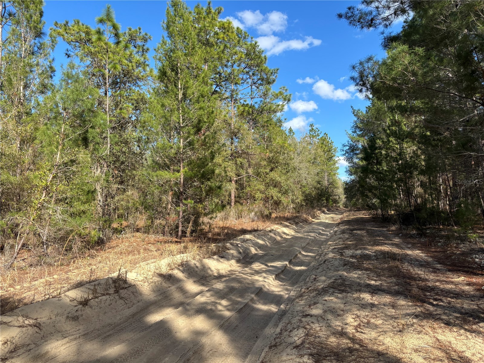 171 7th Way Interlachen FL 32148 S5135625 image5