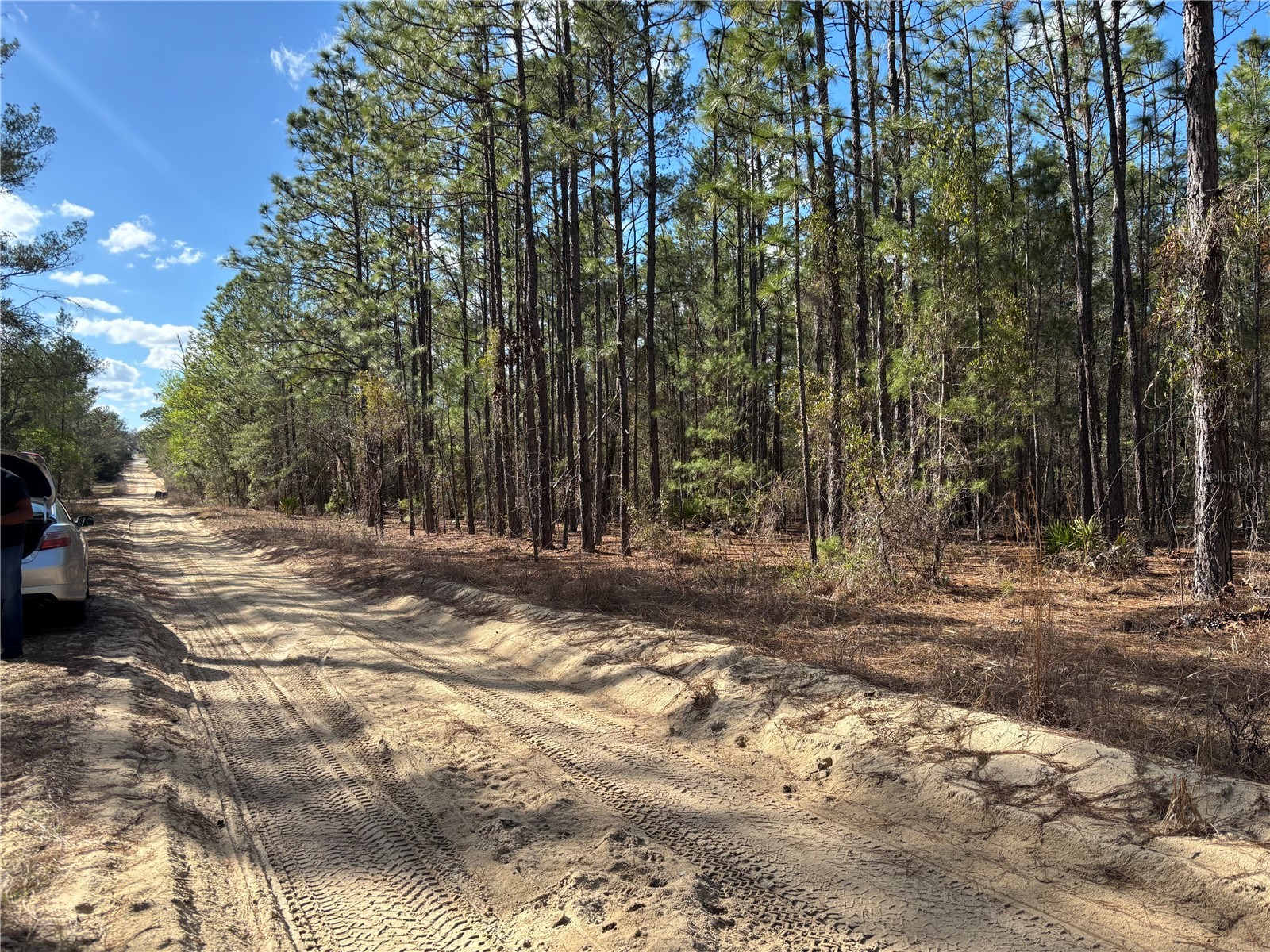171 7th Way Interlachen FL 32148 S5135625 image6