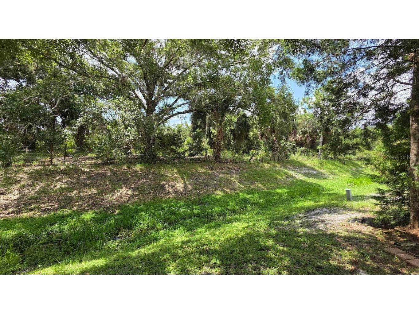 171 Appaloosa Trail River Ranch FL 33867 TB8405036 image4
