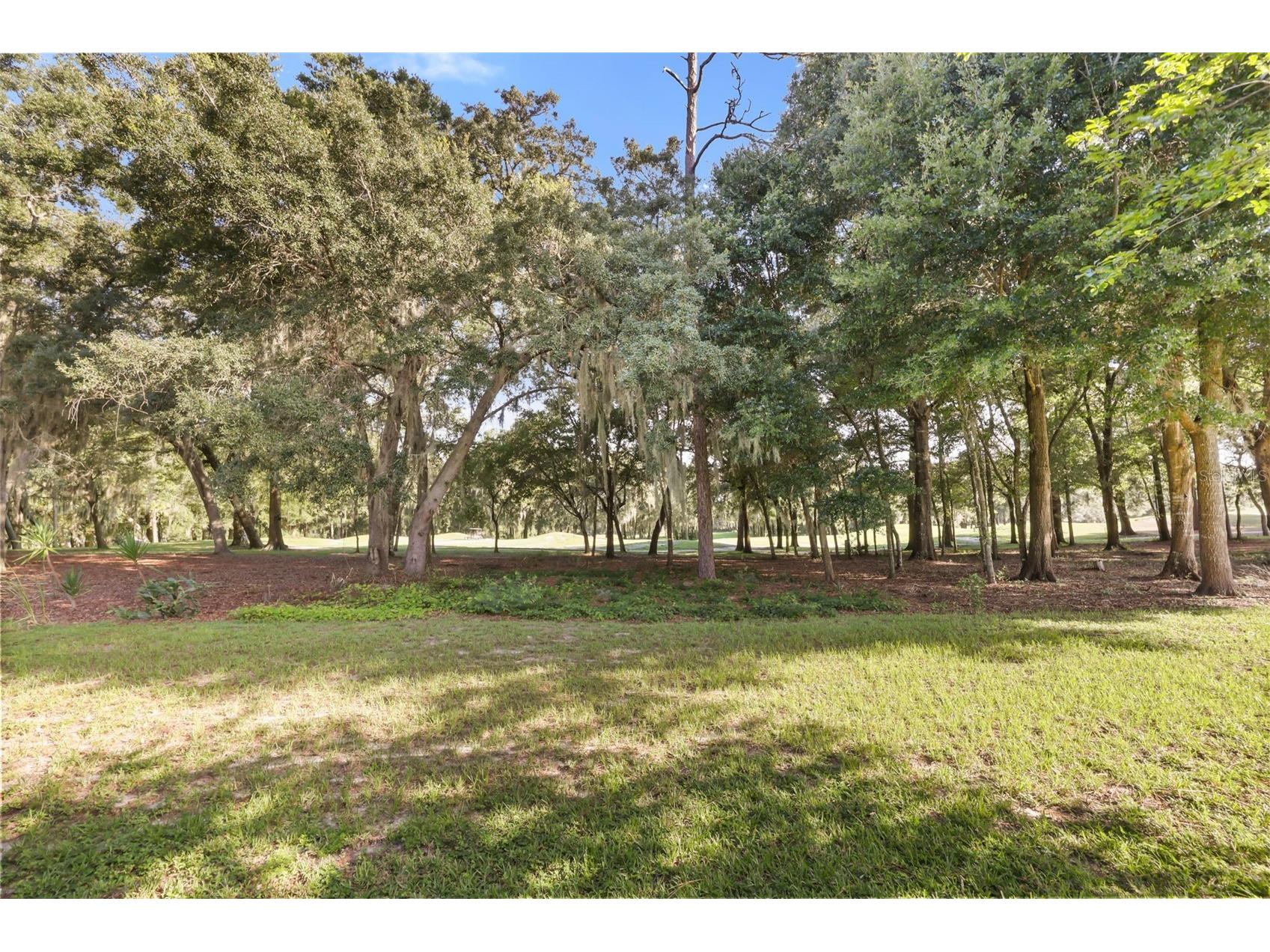 171 Birchmont Drive Deland FL 32724 O6427003 image45