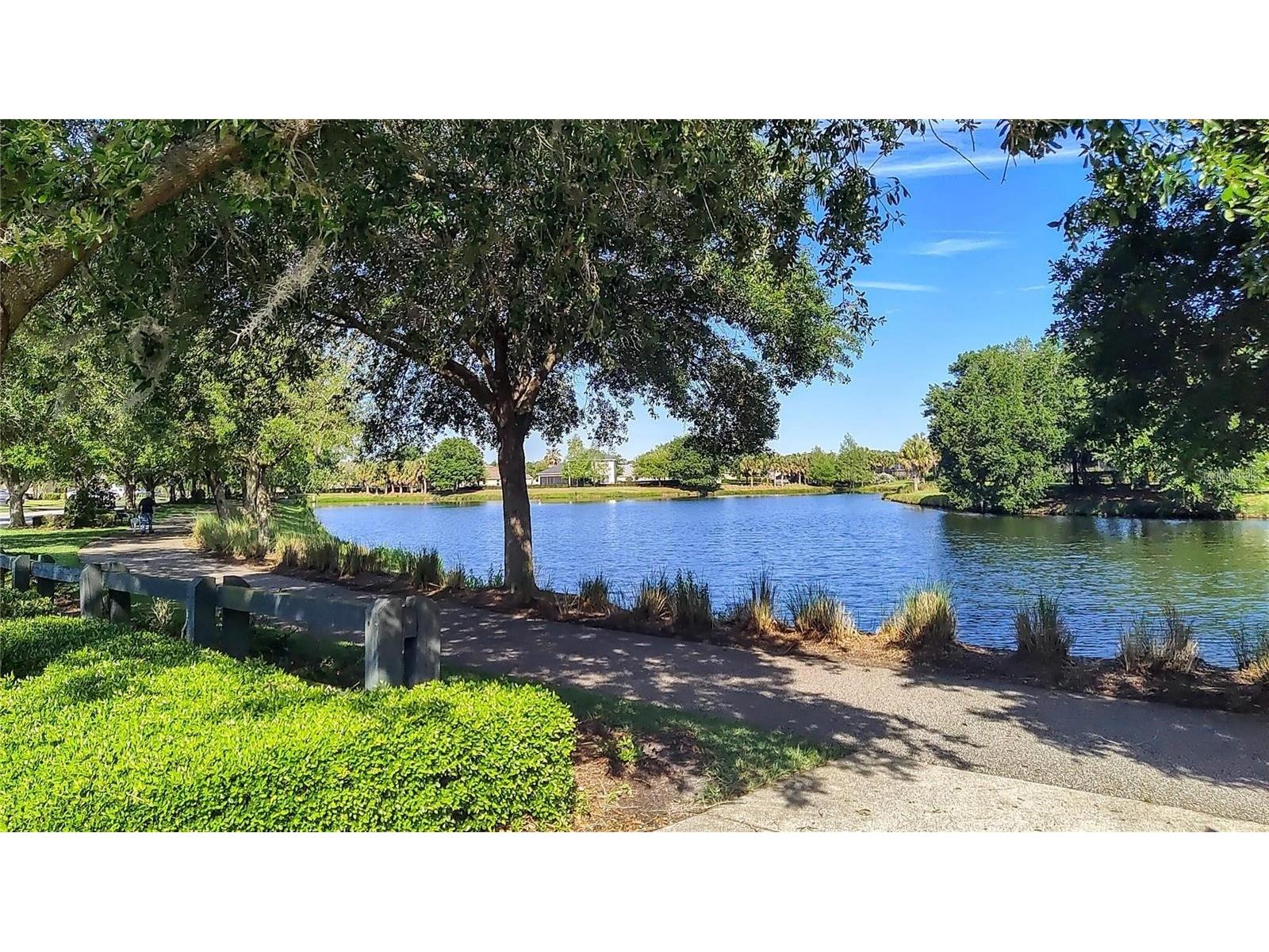 171 Birchmont Drive Deland FL 32724 O6427003 image46