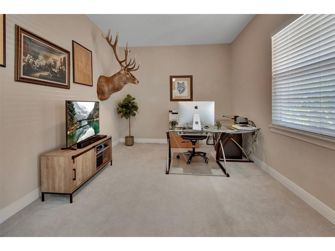 171 Birchmont Drive Deland FL 32724 V4942886 image35