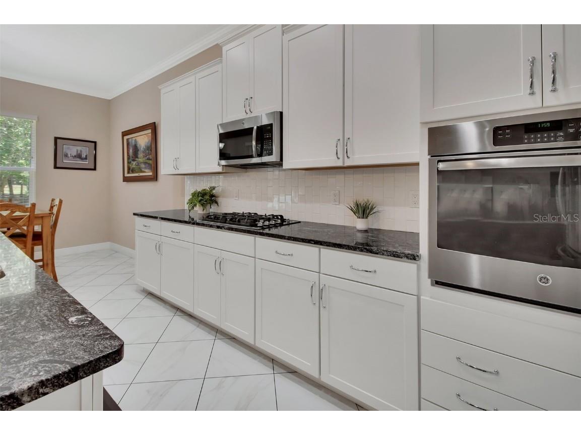 171 Birchmont Drive Deland FL 32724 V4942886 image4