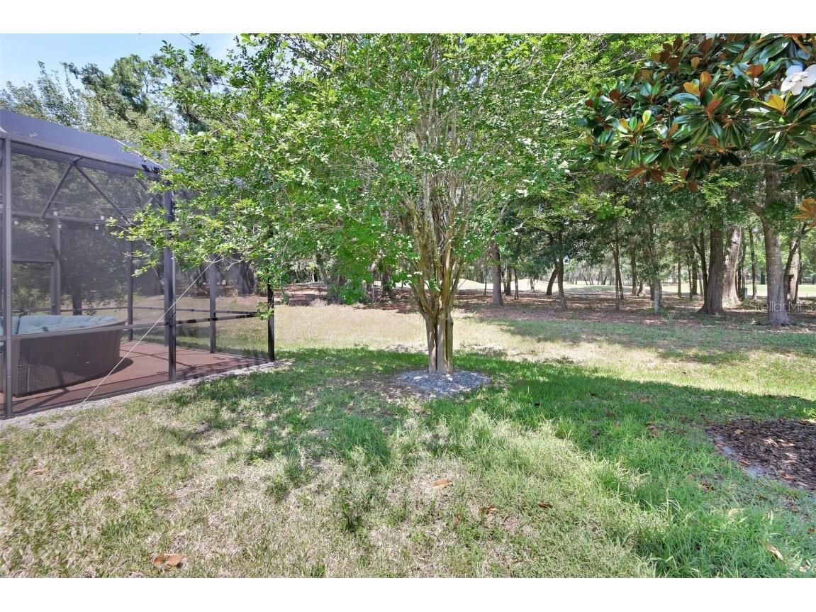 171 Birchmont Drive Deland FL 32724 V4942886 image42