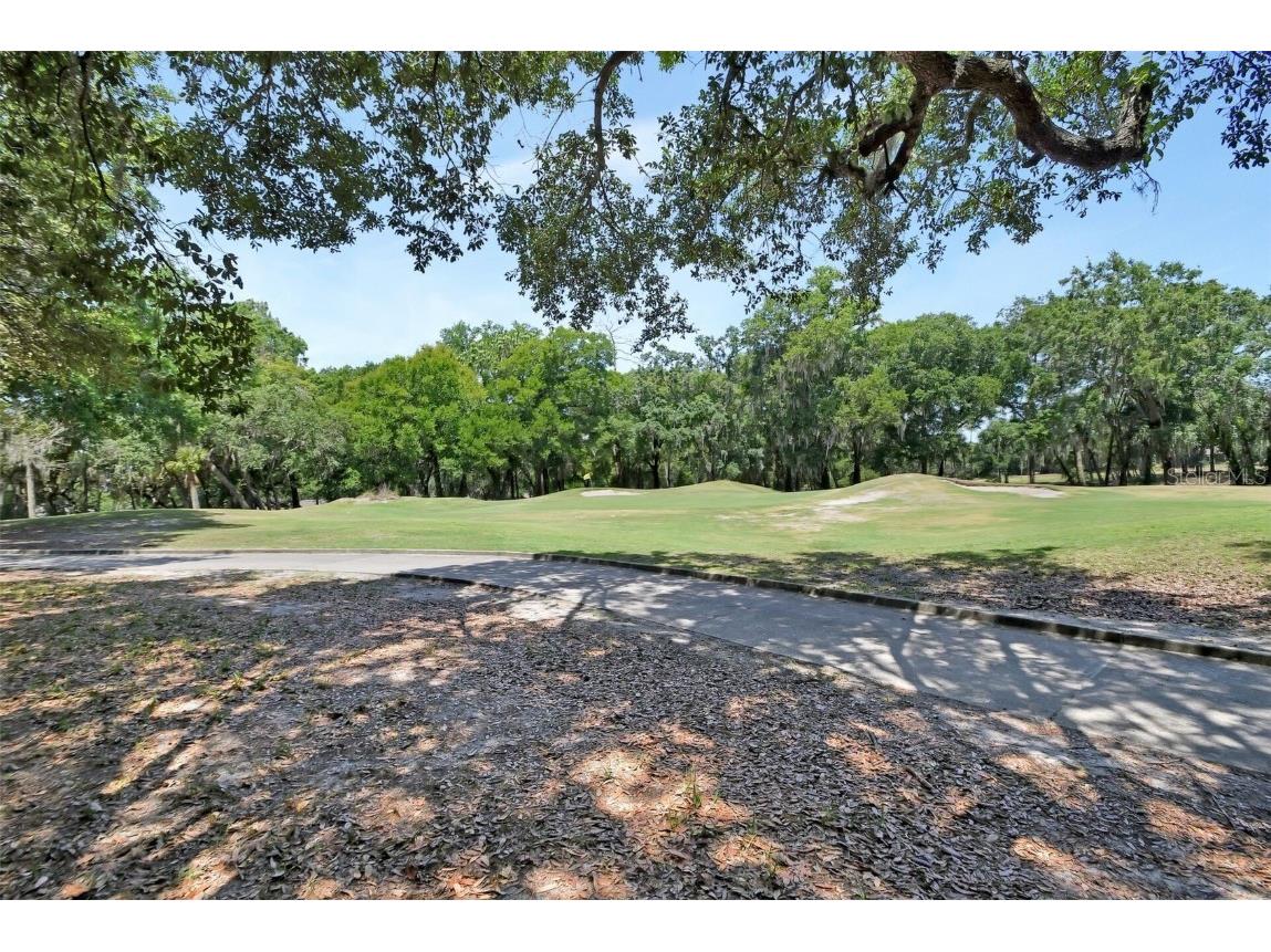 171 Birchmont Drive Deland FL 32724 V4942886 image44