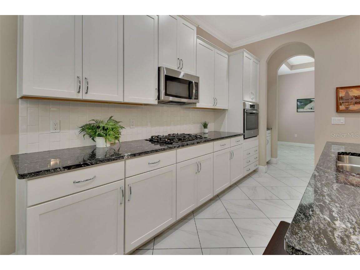 171 Birchmont Drive Deland FL 32724 V4942886 image6