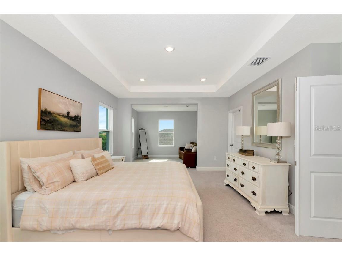 171 Bright Ibis Avenue Apollo Beach FL 33572 A4664065 image27