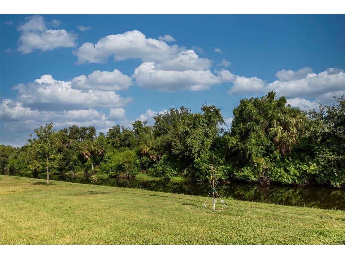 171 Bright Ibis Avenue Apollo Beach FL 33572 A4664065 image47