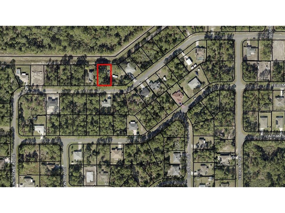 171 Dailey Street SE Palm Bay FL 32909 OM676999 image2