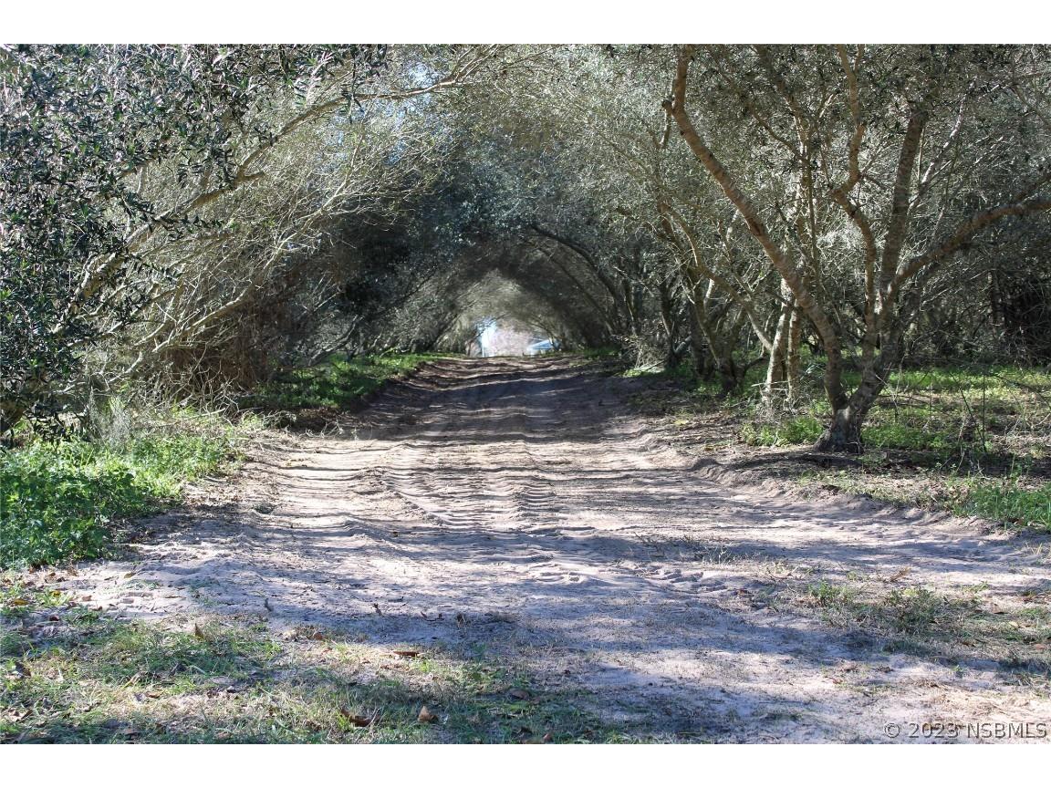 171 Howes Street Oak Hill FL 32759 NS1072139 image1