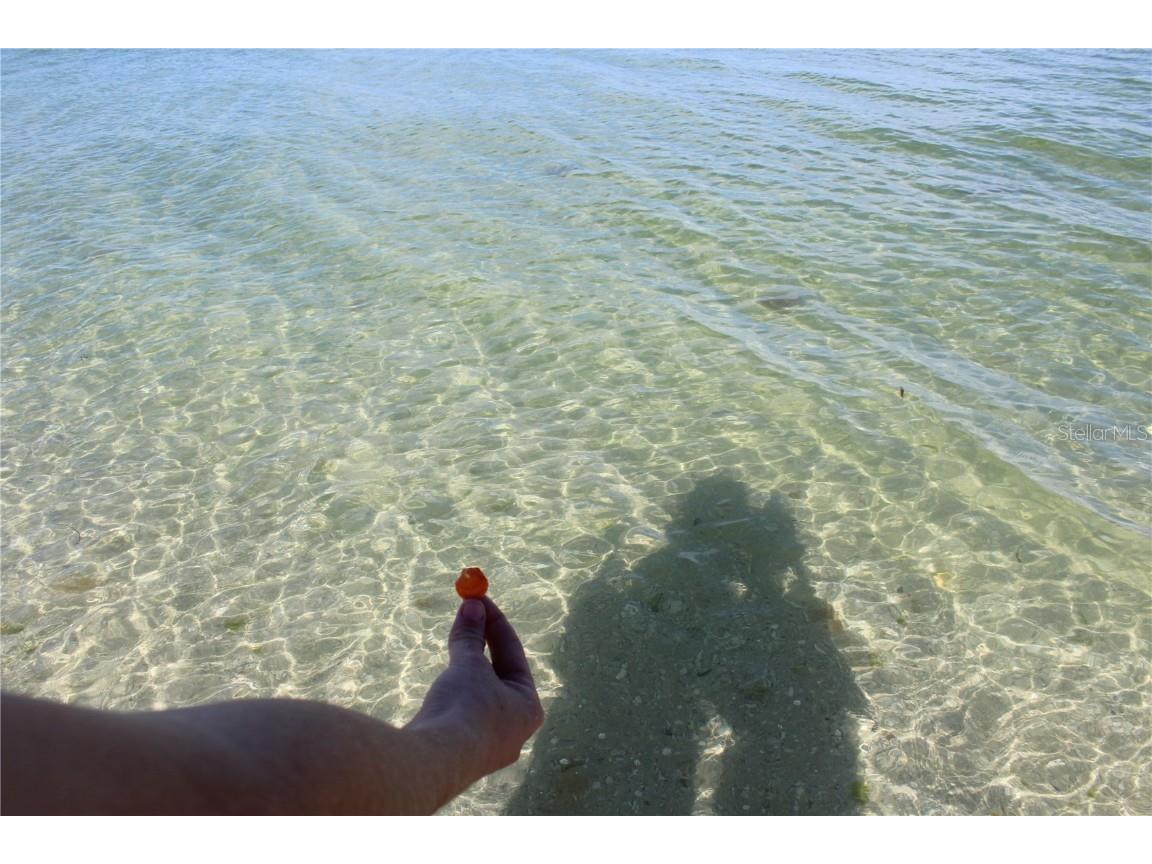 171 Kettle Harbor Drive Placida FL 33946 - KETTLE HARBOR D6140902 image16