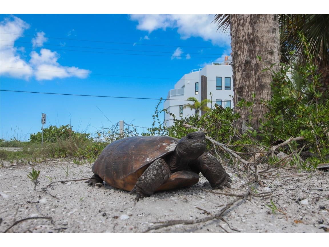 171 Kettle Harbor Drive Placida FL 33946 - KETTLE HARBOR D6140902 image17