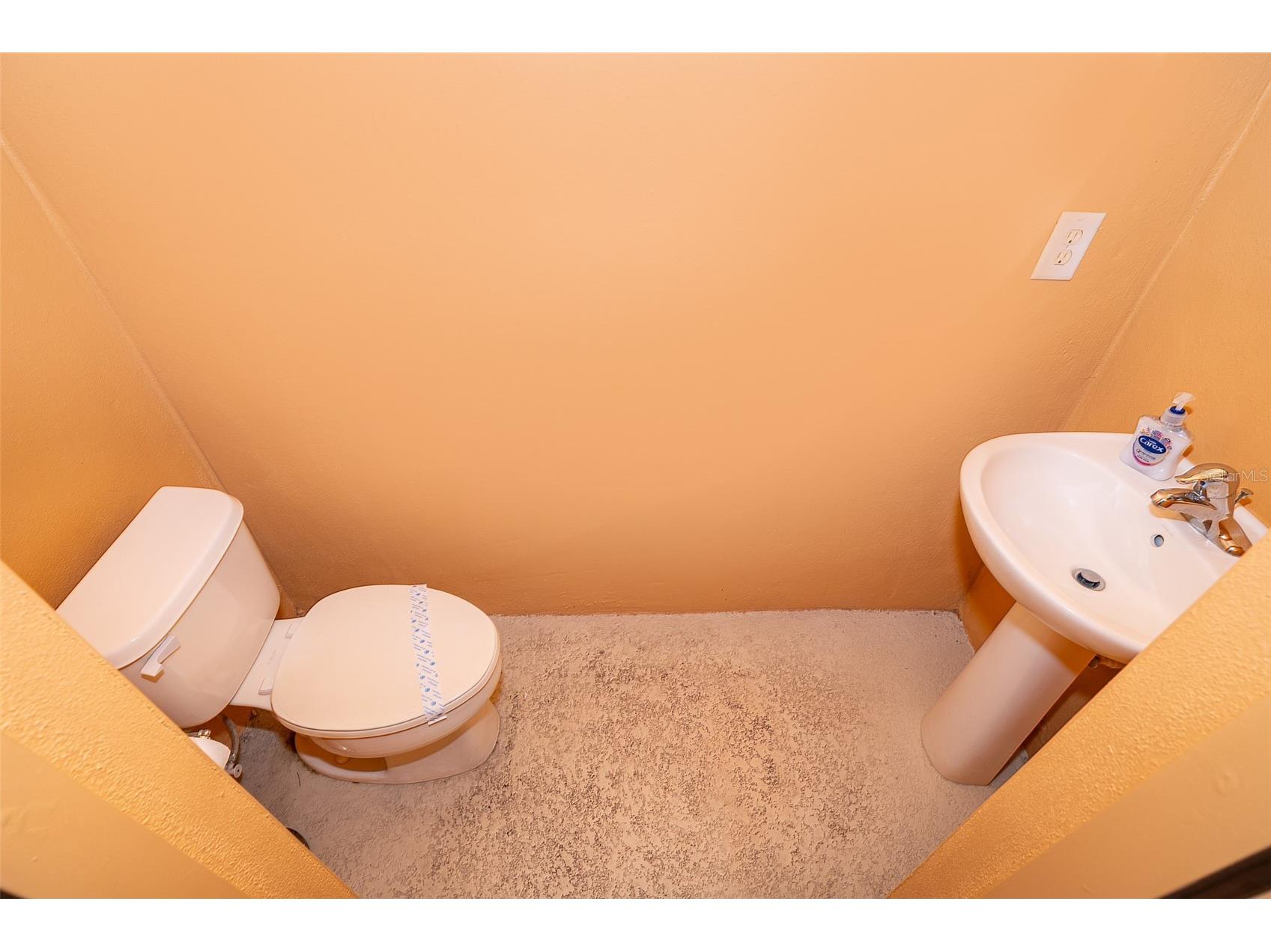 171 Orange Cosmos Boulevard Davenport FL 33837 S5142059 image41