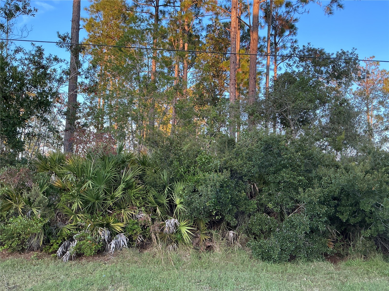 171 Ryberry Drive Palm Coast FL 32164 OM715341 image1