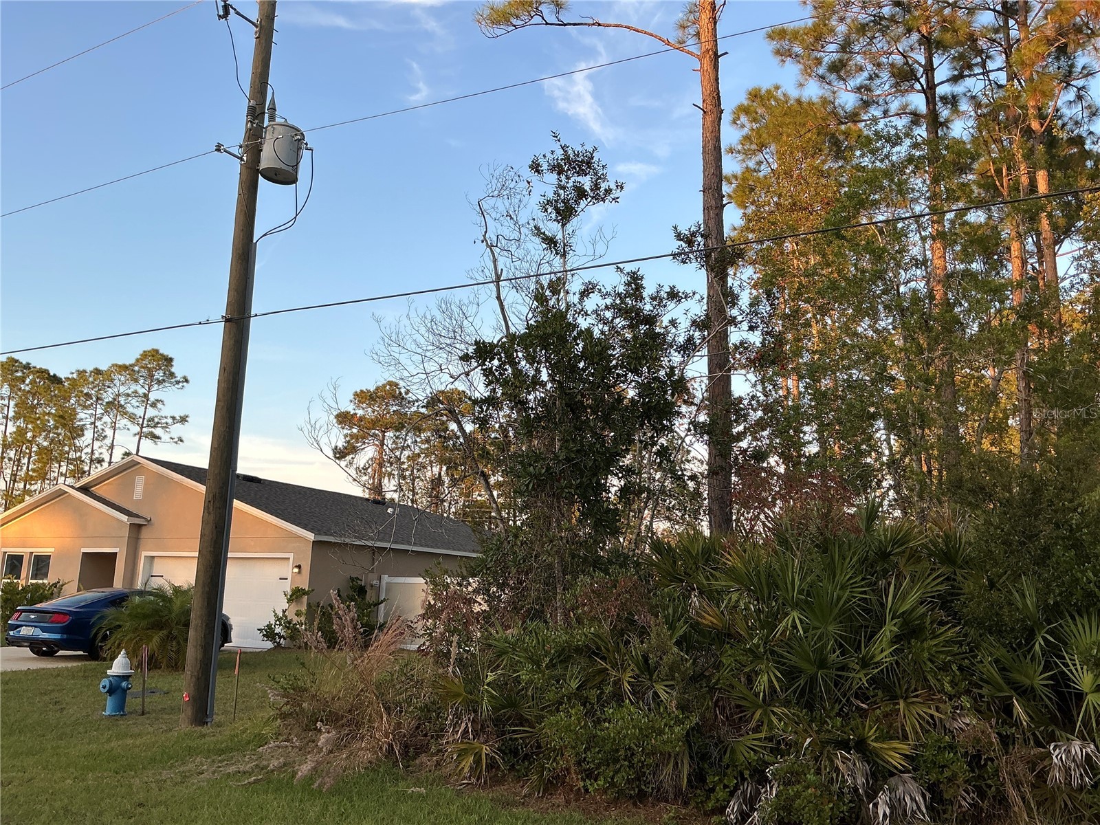 171 Ryberry Drive Palm Coast FL 32164 OM715341 image3