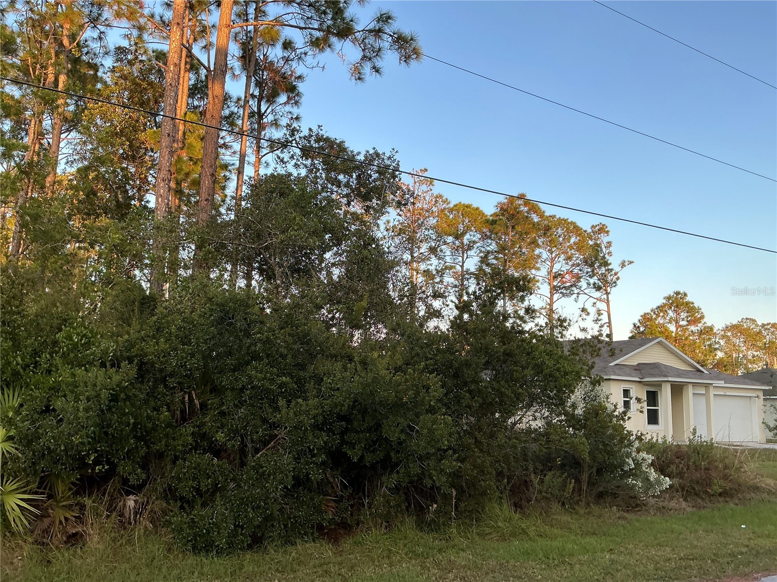171 Ryberry Drive Palm Coast FL 32164 OM715341 image4