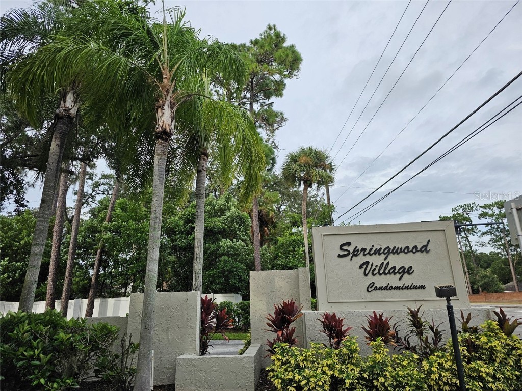 171 Springwood Circle #D Longwood FL 32750 O6230361 image1