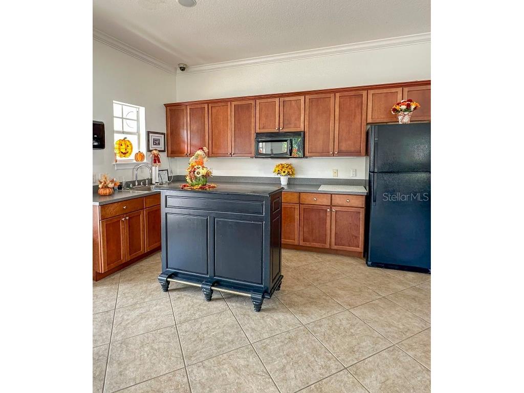 171 Valencia Circle Saint Petersburg FL 33716 TB8443613 image37