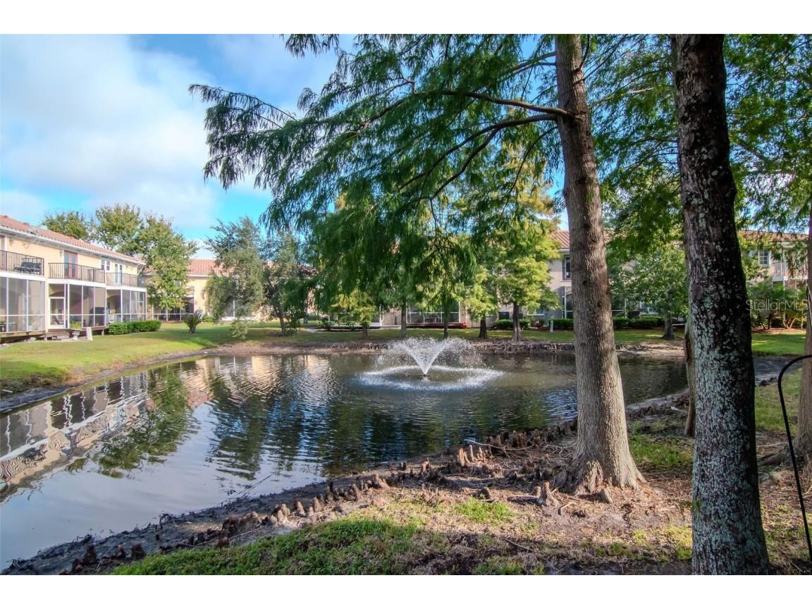 171 Valencia Circle Saint Petersburg FL 33716 TB8443613 image43