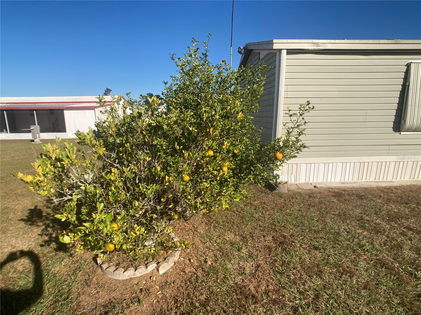 1710 7th Street SW #44 Ruskin FL 33570 TB8445593 image32