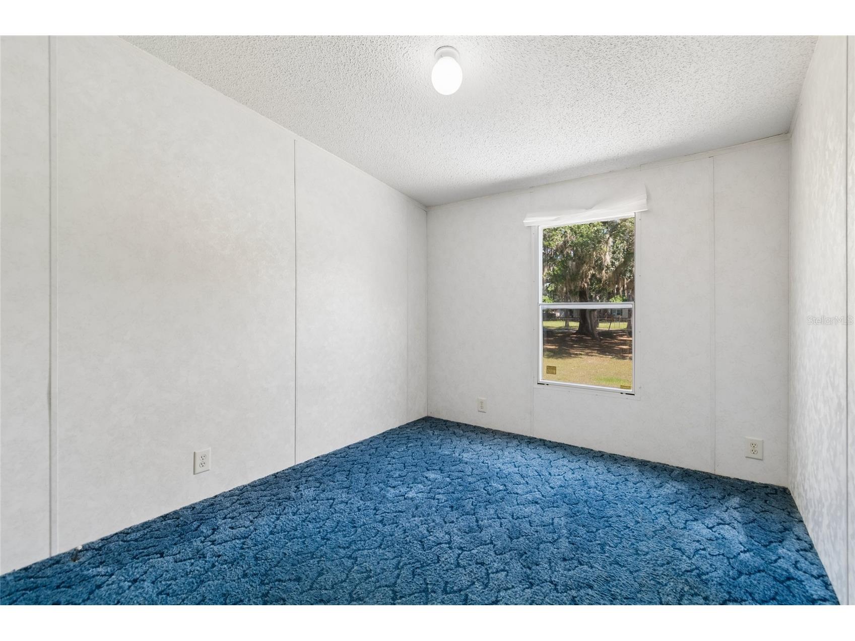 1710 Cowart Road Plant City FL 33567 TB8505904 image19