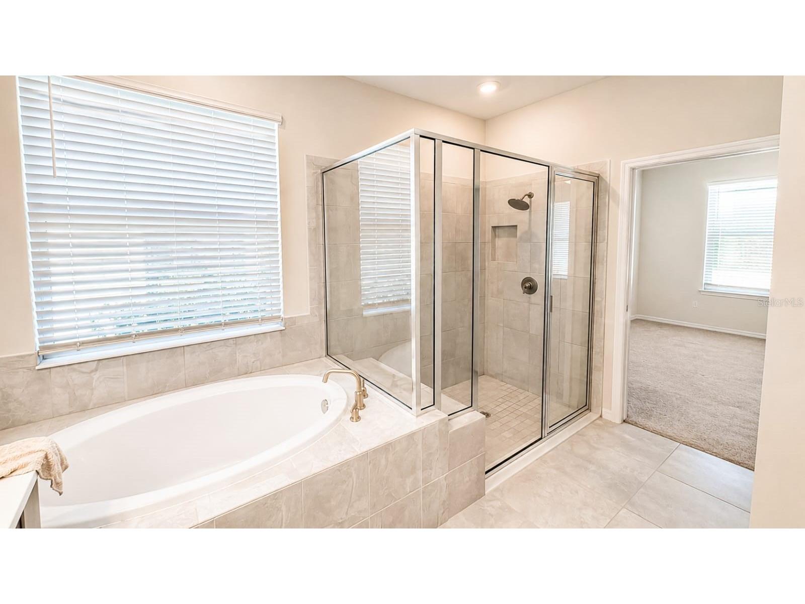 1710 Goblet Cove St Kissimmee FL 34746 O6406188 image19