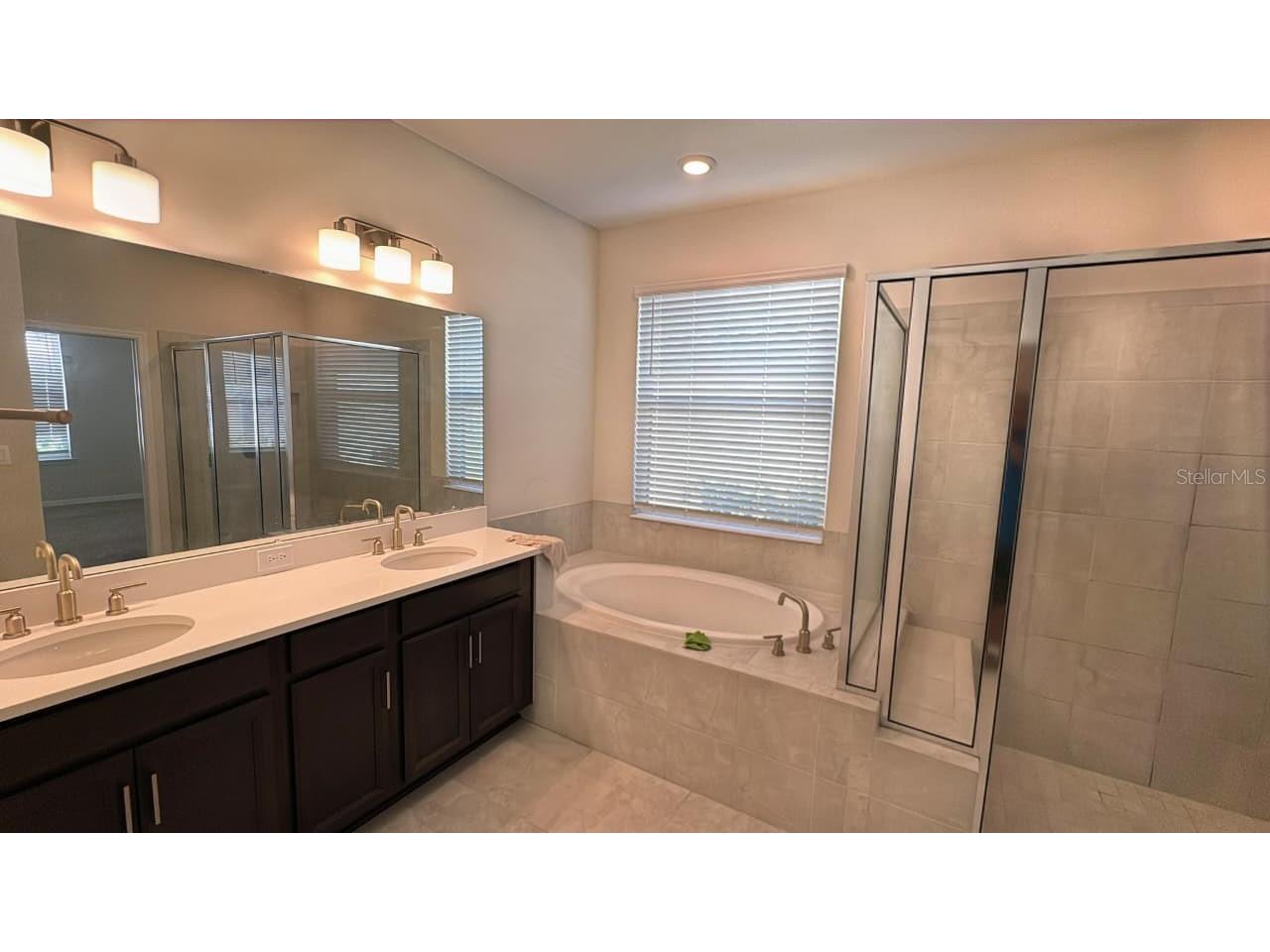 1710 Goblet Cove Street Kissimmee FL 34746 O6386901 image13