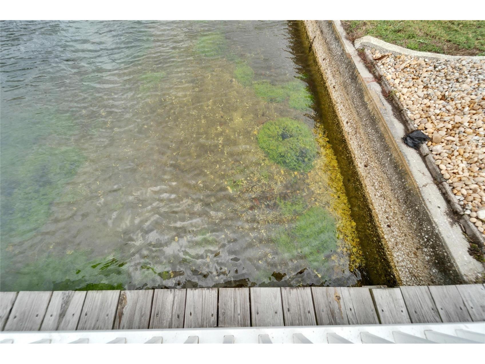 1710 New Bedford Drive Sun City Center FL 33573 - SIMONS LAKE TB8465923 image62