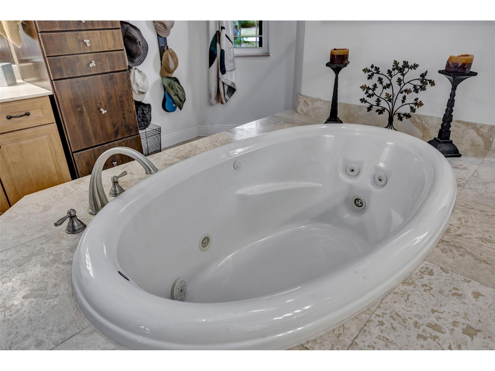 1710 Newberger Road Lutz FL 33549 TB8483486 image36