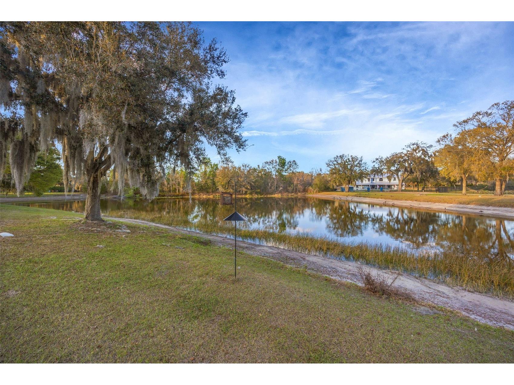 1710 Newberger Road Lutz FL 33549 TB8483486 image91