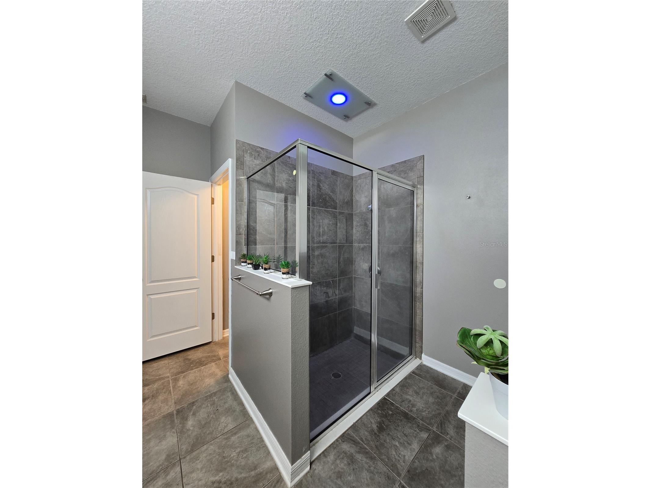 1710 Plantation Pointe Drive Orlando FL 32824 O6406177 image28