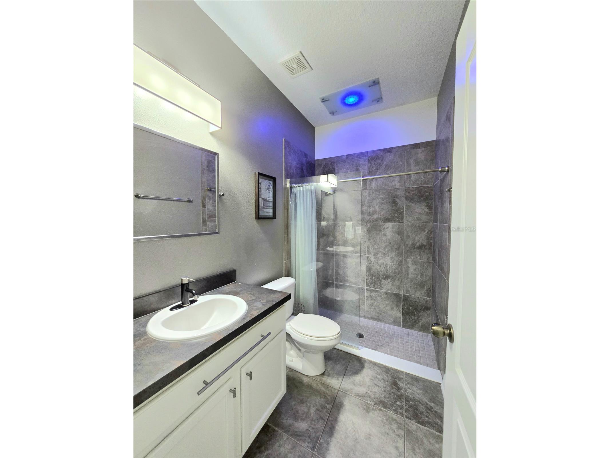 1710 Plantation Pointe Drive Orlando FL 32824 O6406177 image33