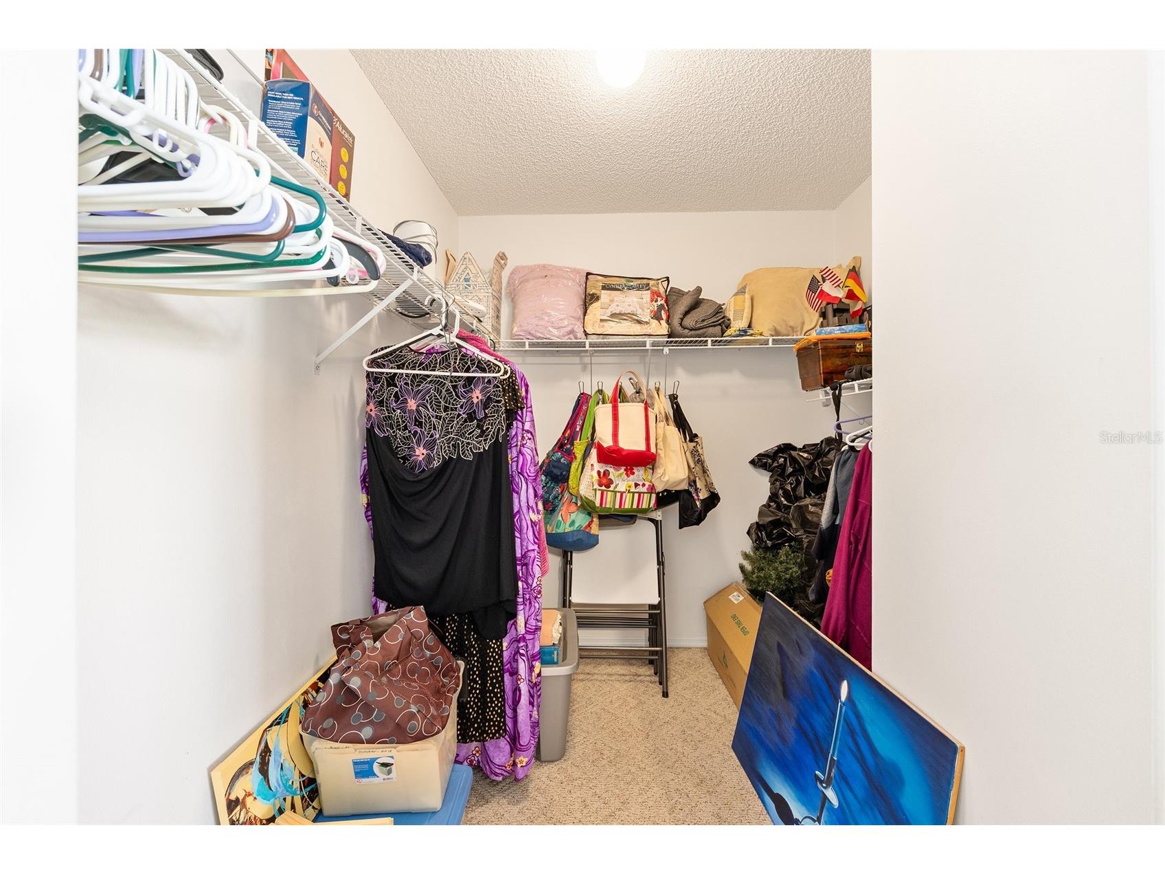 1710 Rosales Road The Villages FL 32162 OM724304 image13