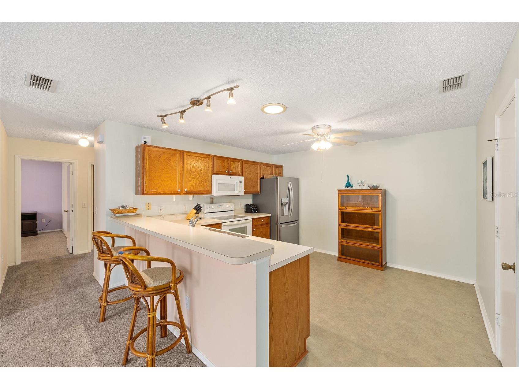 1710 Rosales Road The Villages FL 32162 OM724304 image8
