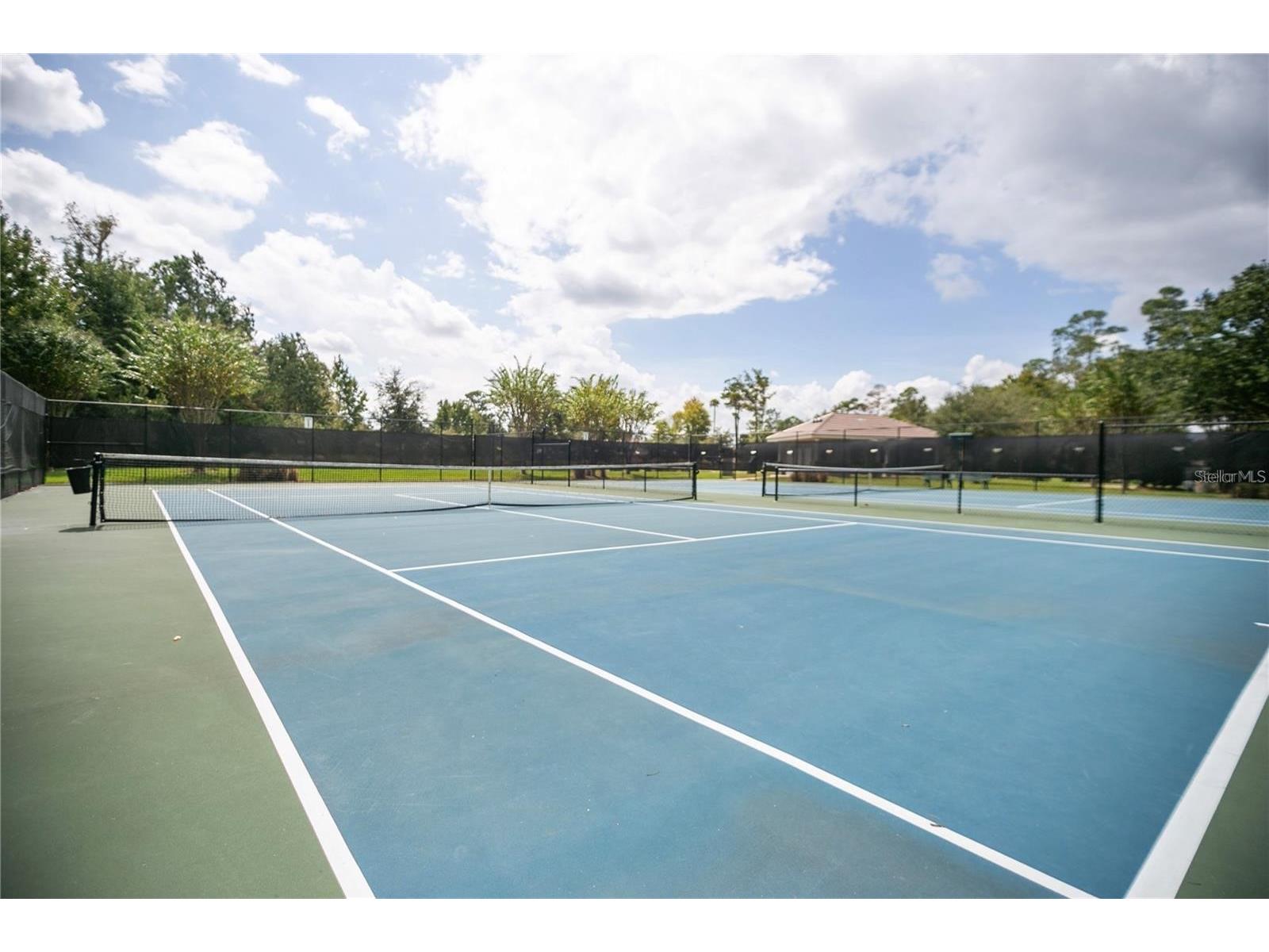 1710 Shadowmoss Circle Lake Mary FL 32746 O6390253 image43