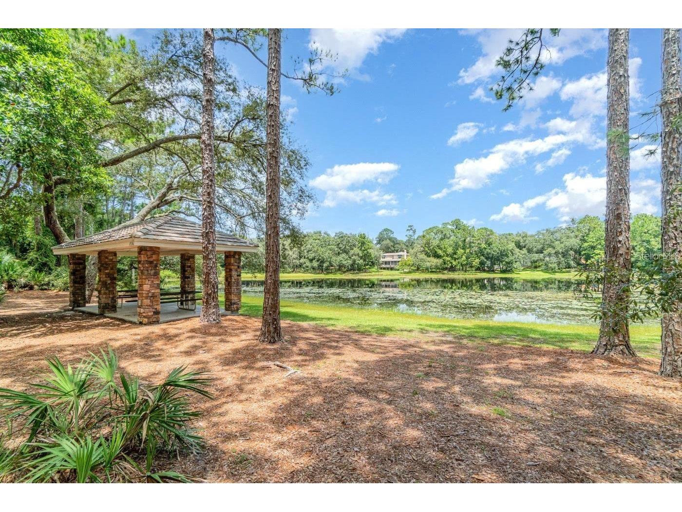 1710 Shadowmoss Circle Lake Mary FL 32746 O6390253 image45