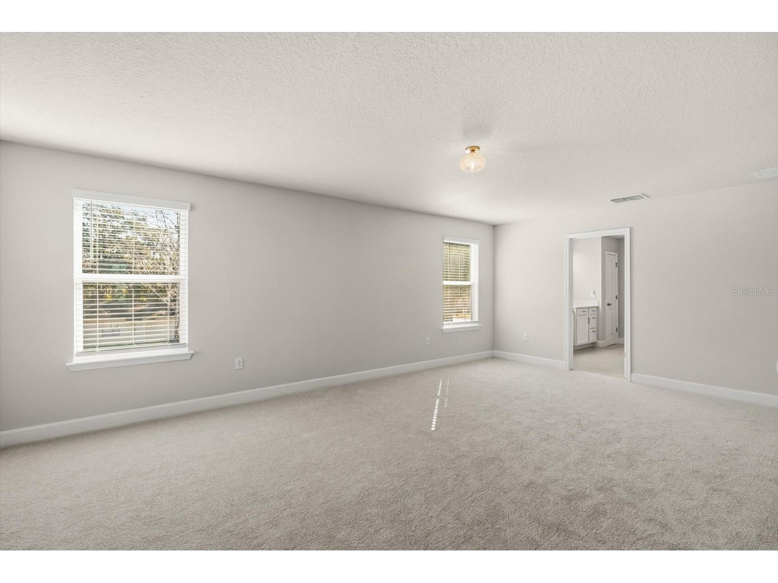1710 Summer Rose Drive Mount Dora FL 32757 G5108058 image19