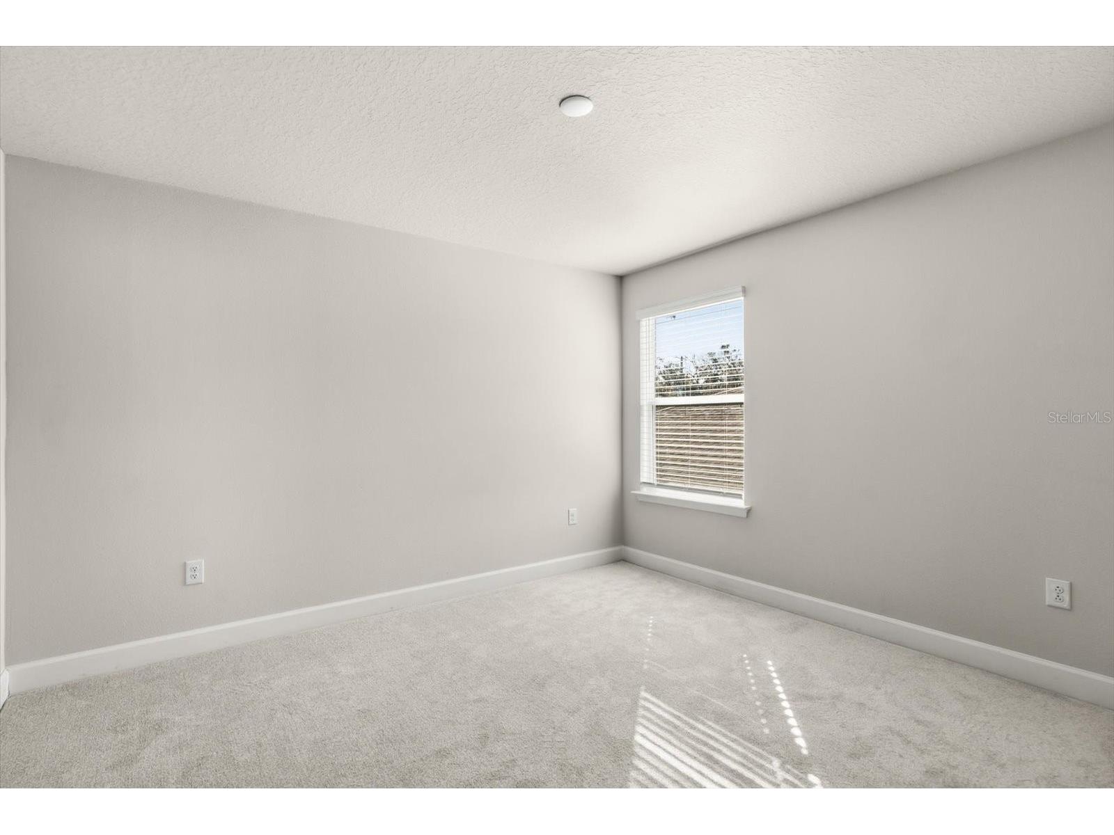 1710 Summer Rose Drive Mount Dora FL 32757 G5108058 image30