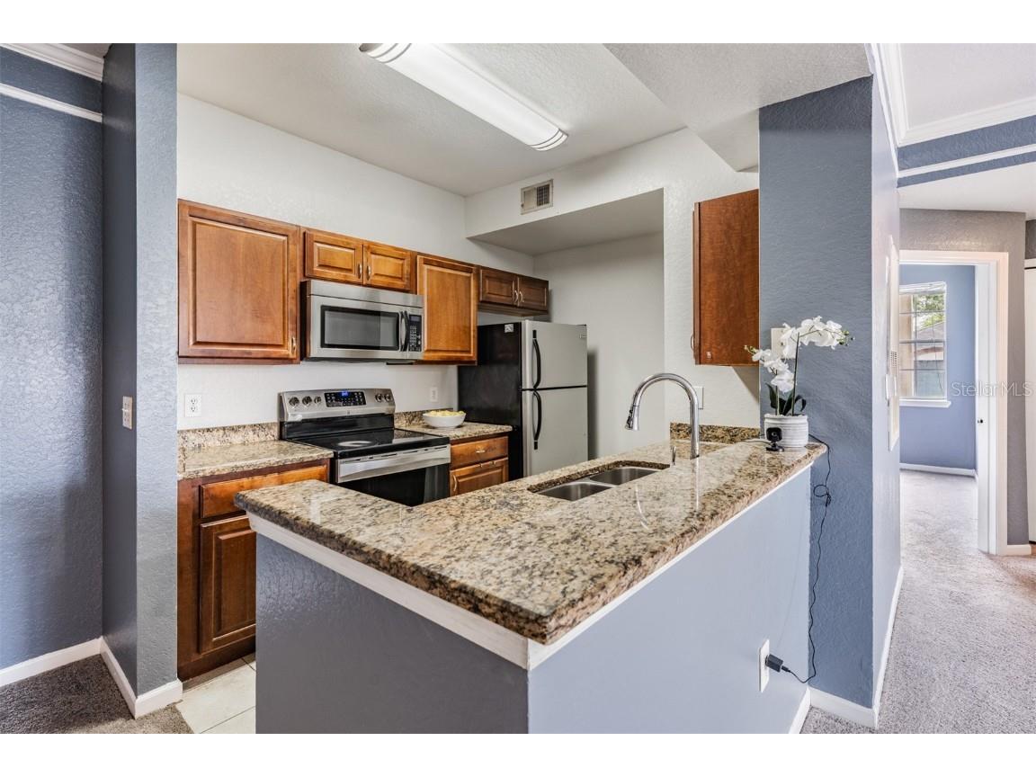 17101 Carrington Park Drive #415 Tampa FL 33647 TB8411715 image11