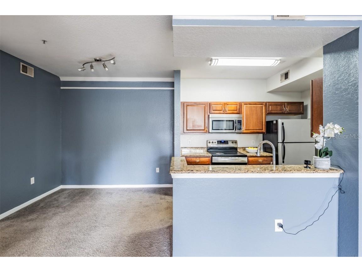 17101 Carrington Park Drive #415 Tampa FL 33647 TB8411715 image12